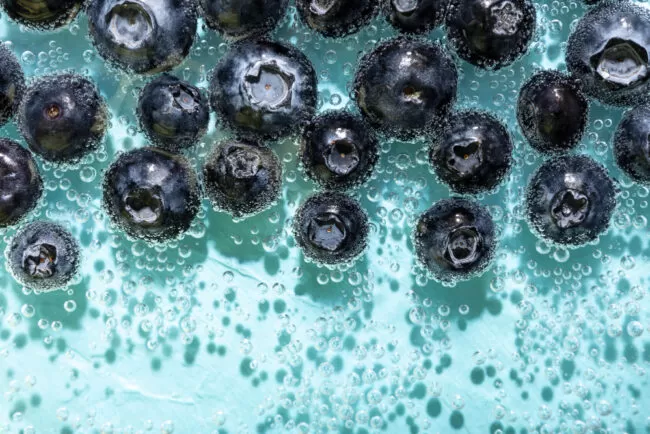 Frutas de açaí frescas na floresta amazônica.