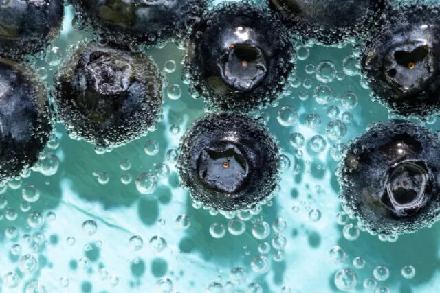 Frutas de açaí frescas na floresta amazônica.
