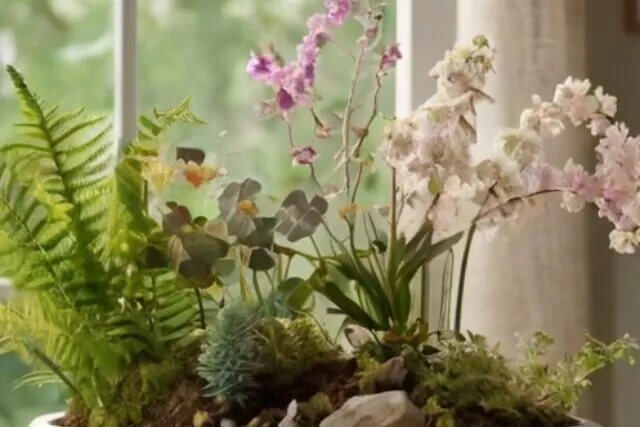 Cena serena inspirada na natureza com plantas e flores, refletindo tranquilidade e remédios naturais.