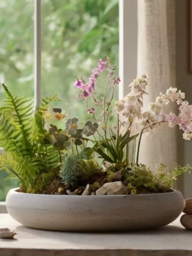 5 Calmantes Naturais Poderosos para Ansiedade