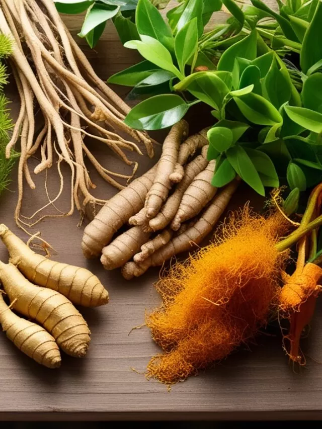 Verdades e Mitos dos Chás