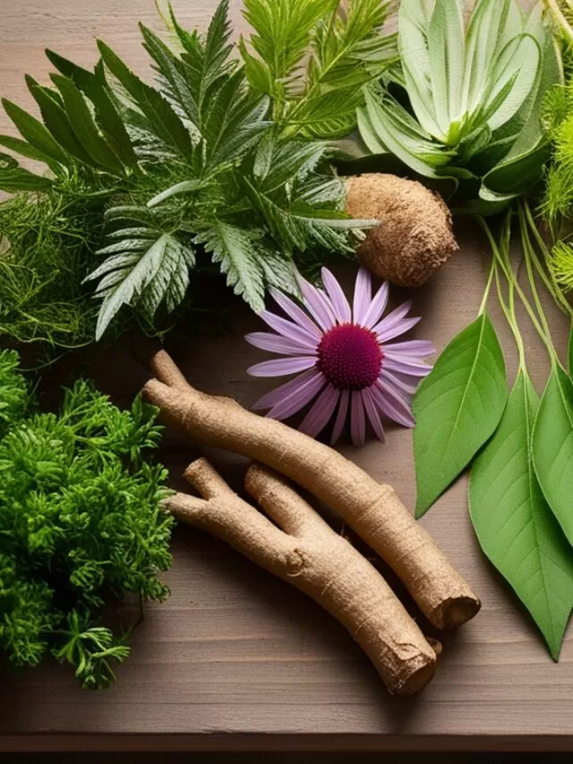 Super Ervas para Mais Saúde e Bem-Estar