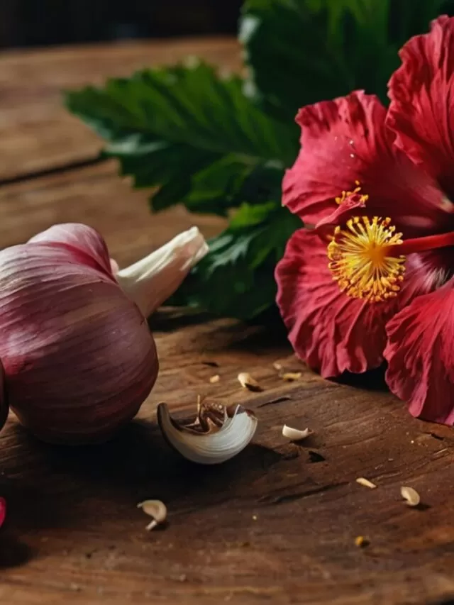 Dicas Naturais para Pressão Alta